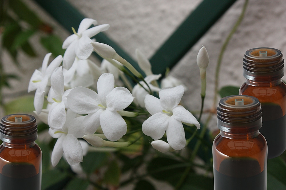 Using Jasmine Oil in Body Scrub for Clear Skin