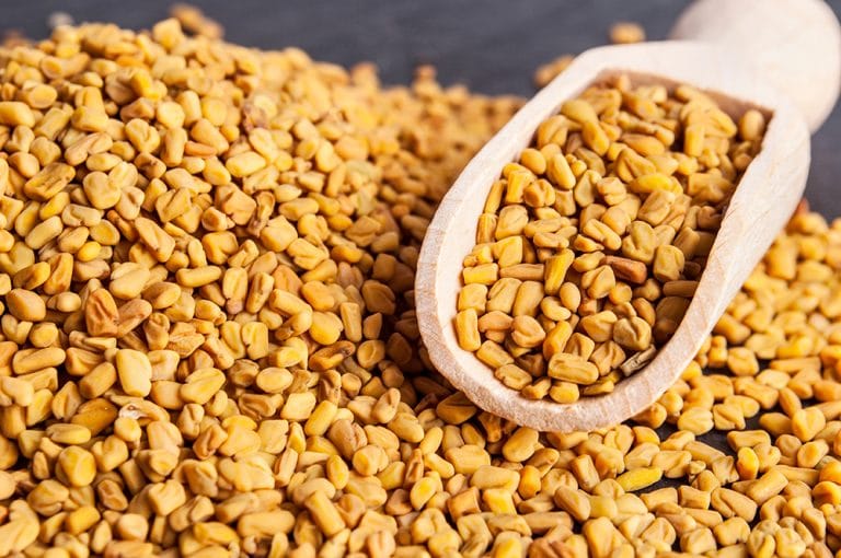 fenugreek-powder-benefits-deorta-clayface-mask